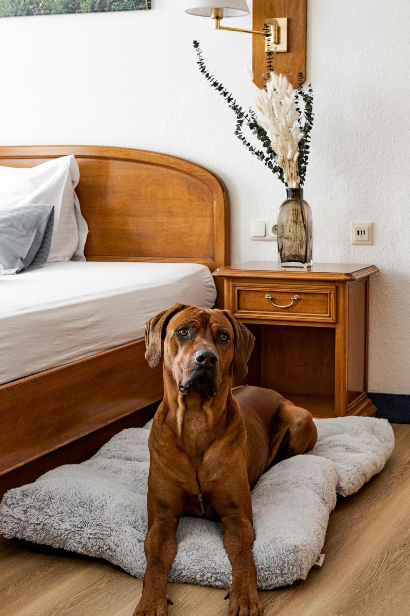 Hotel Goldener Hirsch 카우프보이렌 외부 사진